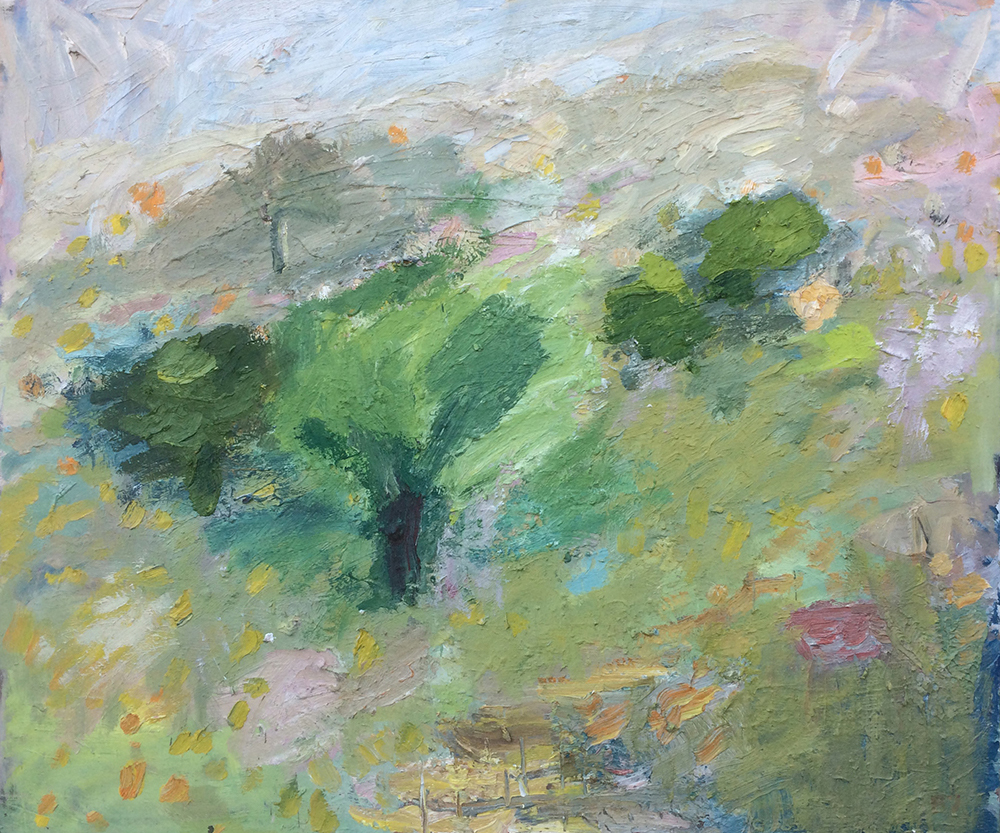 Landskap Bovallstrand